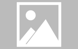 海东素材解析网站图文版（素材网第三方免费解析网站）